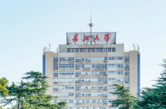 是“根本结实+适用性强”的子